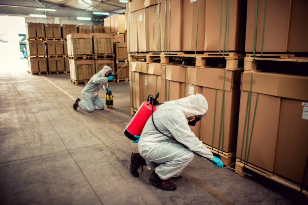 Flea Control Services in Alliance, OH