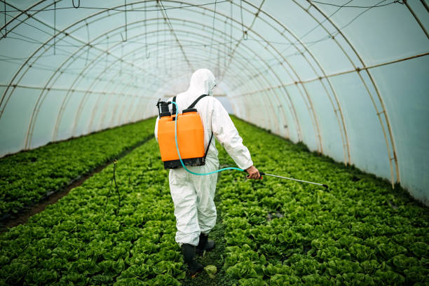 Reliable Alliance, OH Pest Control Solutions