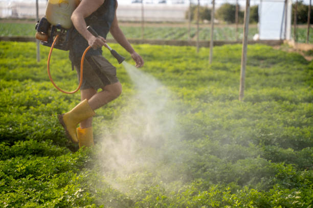 Pest Control for Restaurants in Alliance, OH