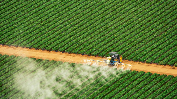 Best Commercial Pest Control Services  in Alliance, OH
