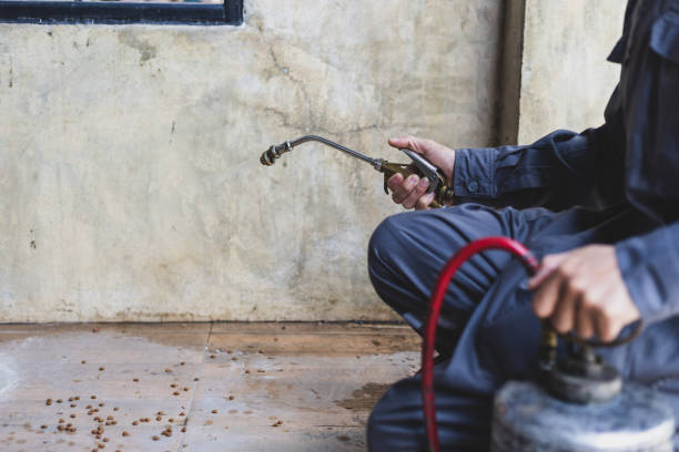 Best Pest Inspection Near Me  in Alliance, OH