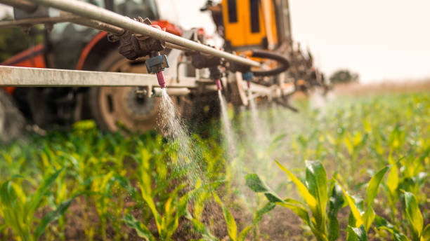 Pest Control Cost in Alliance, OH